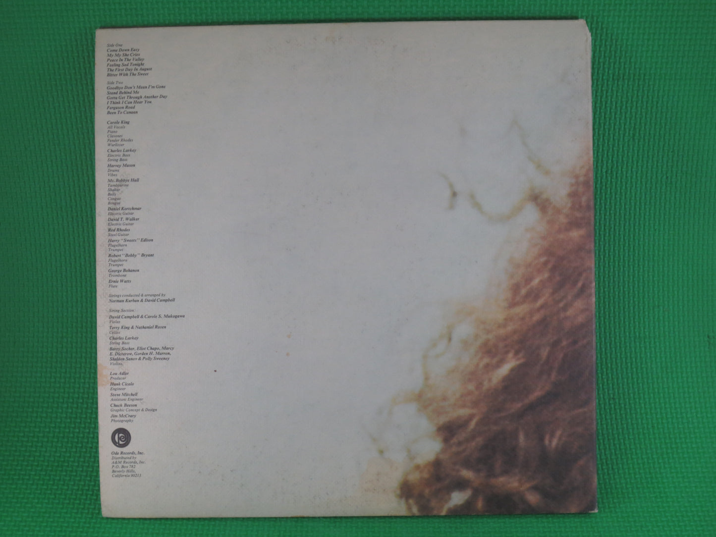 CAROLE KING, RHYMES and Reasons, Carole King Record, Carole King Album, Carole King Lp, Carole King Songs, 1972 Records