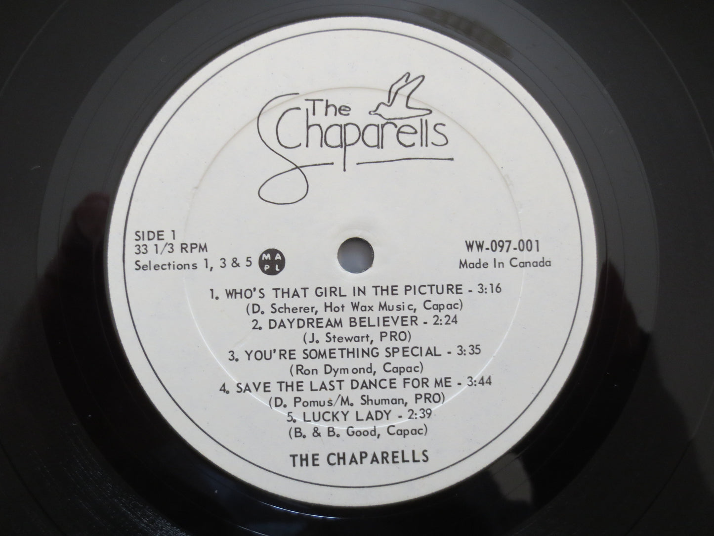 The CHAPARELLS, The Chaparells Album, The Chaparells Lp, Rock Record, Pop Record, Country Record, Vinyl Album, 1980 Records