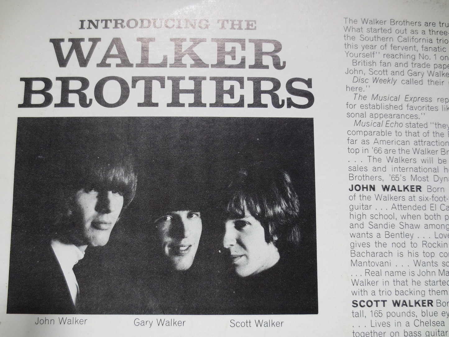 The WALKER BROTHERS, INTRODUCING, Walker Brothers Lp, Pop Music Record, Pop Music Album, Rock Album, Rock Lp, 1965 Records