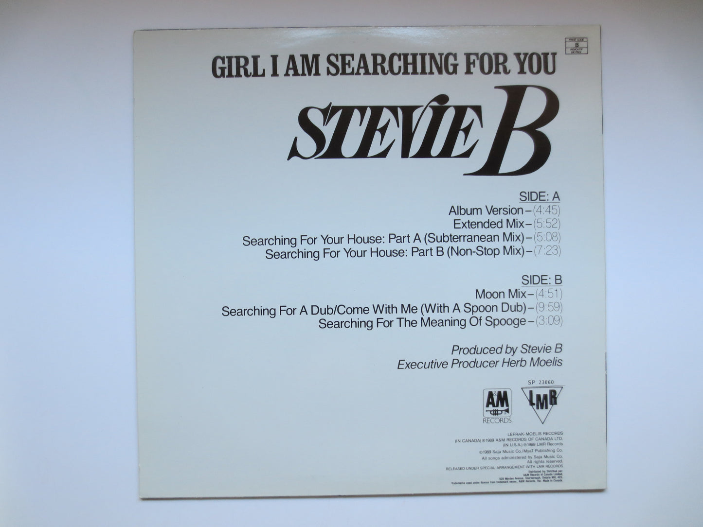 STEVIE B, GIRL I Am SEARCHING, Stevie B Album, Stevie B Record, Stevie B Music, Stevie B Vinyl, Stevie B Lp, 1989 Records