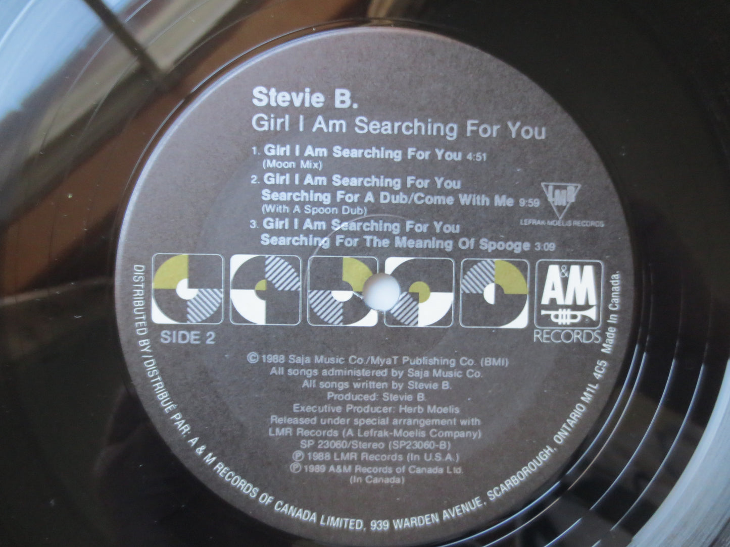 STEVIE B, GIRL I Am SEARCHING, Stevie B Album, Stevie B Record, Stevie B Music, Stevie B Vinyl, Stevie B Lp, 1989 Records