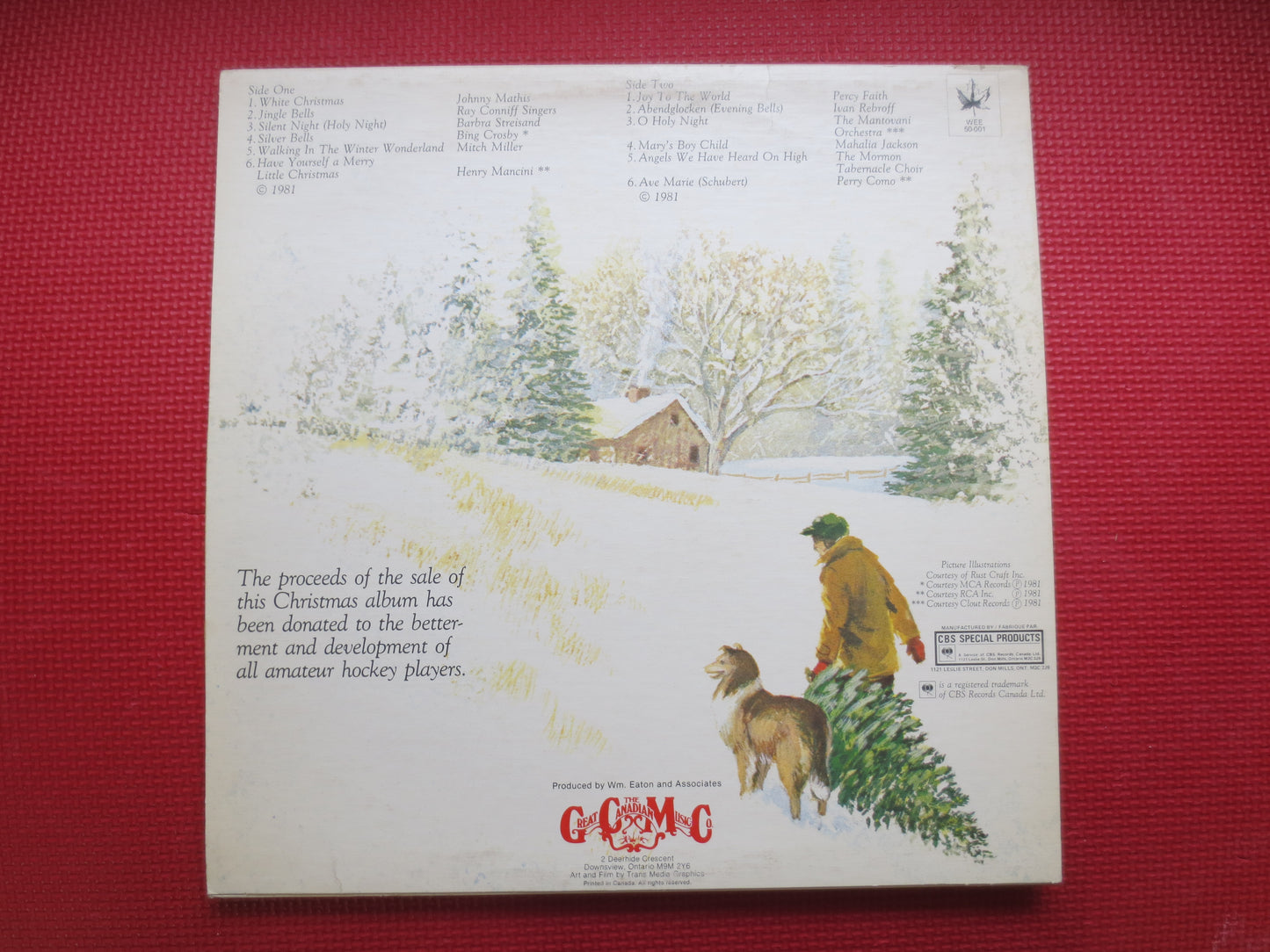 HOME for CHRISTMAS, CHRISTMAS Songs Lp, Christmas Music, Christmas Records, Christmas Albums, Christmas Vinyl, 1981 Records