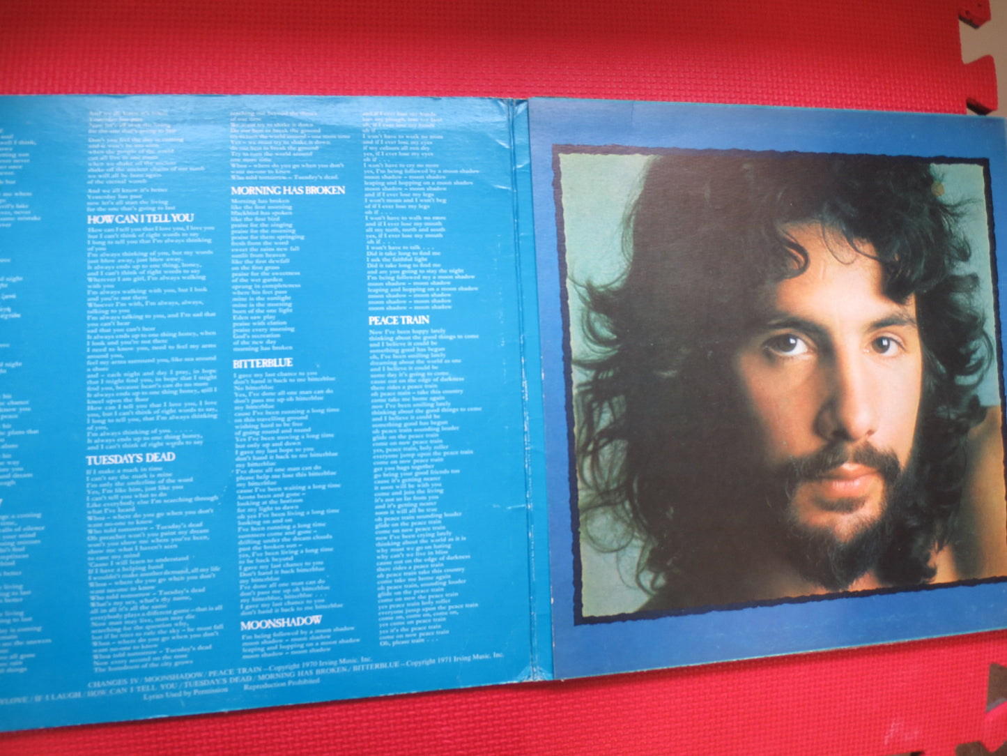 CAT STEVENS, TEASER and the Firecat, Cat Stevens Album, Cat Stevens Vinyl, Cat Stevens Lp, Cat Stevens Record, 1971 Records