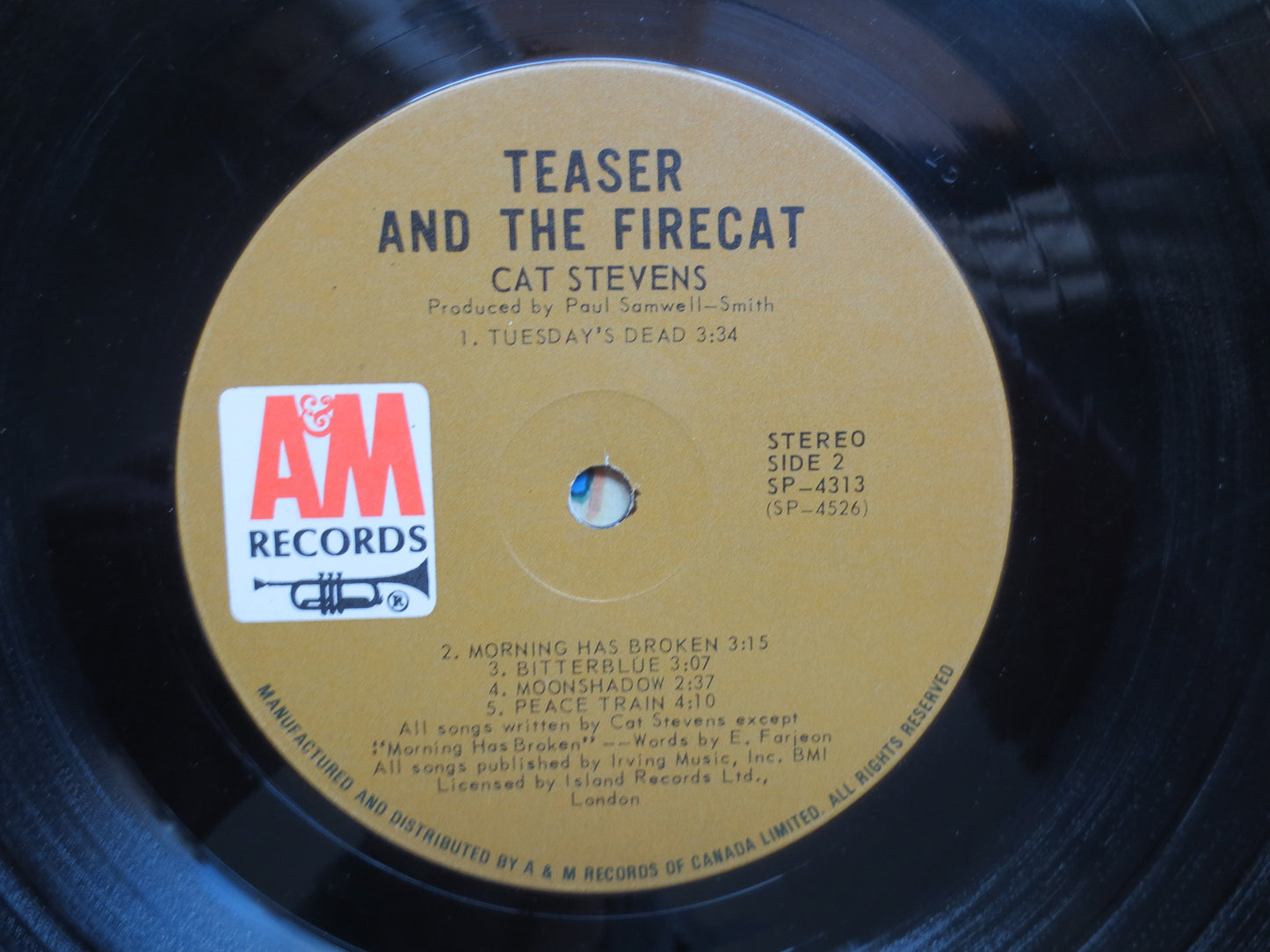 CAT STEVENS, TEASER and the Firecat, Cat Stevens Album, Cat Stevens Vinyl, Cat Stevens Lp, Cat Stevens Record, 1971 Records