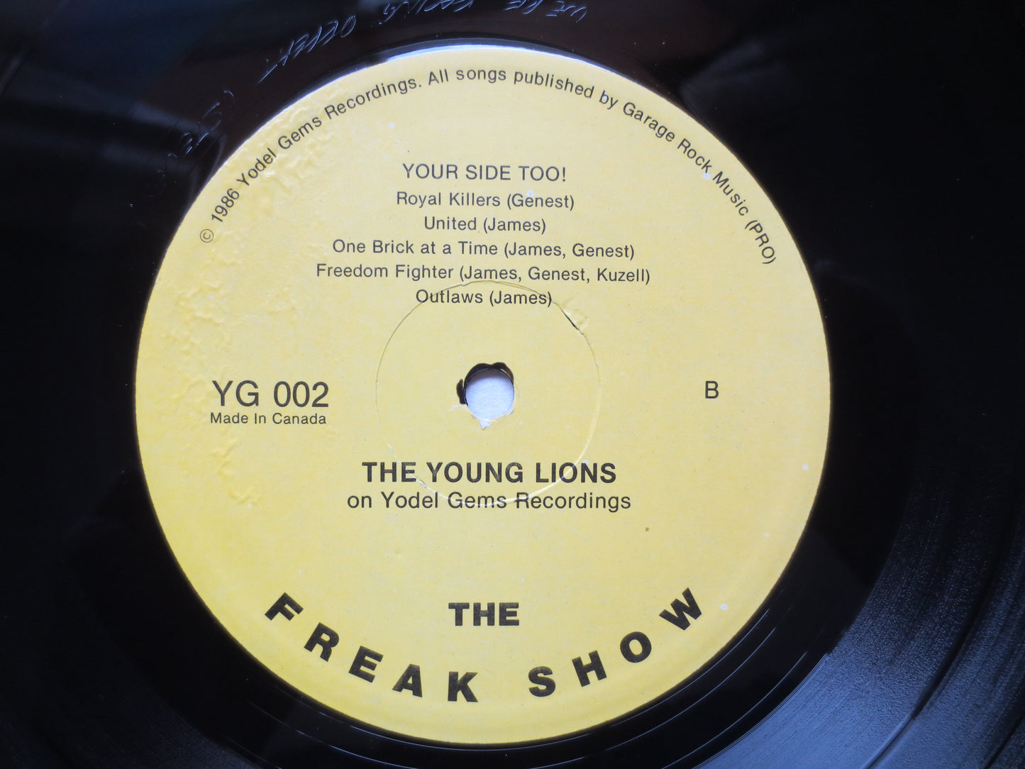 The YOUNG LIONS, WELCOME to the Freak Show, Young Lions Record, Young Lions Lp, Young Lions Album, Punk Rock, 1986 Records