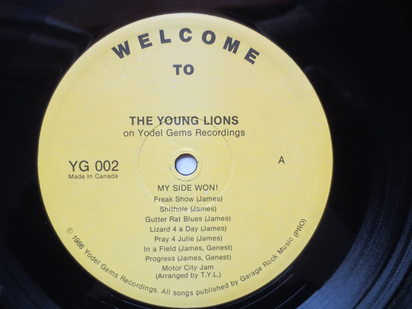 The YOUNG LIONS, WELCOME to the Freak Show, Young Lions Record, Young Lions Lp, Young Lions Album, Punk Rock, 1986 Records