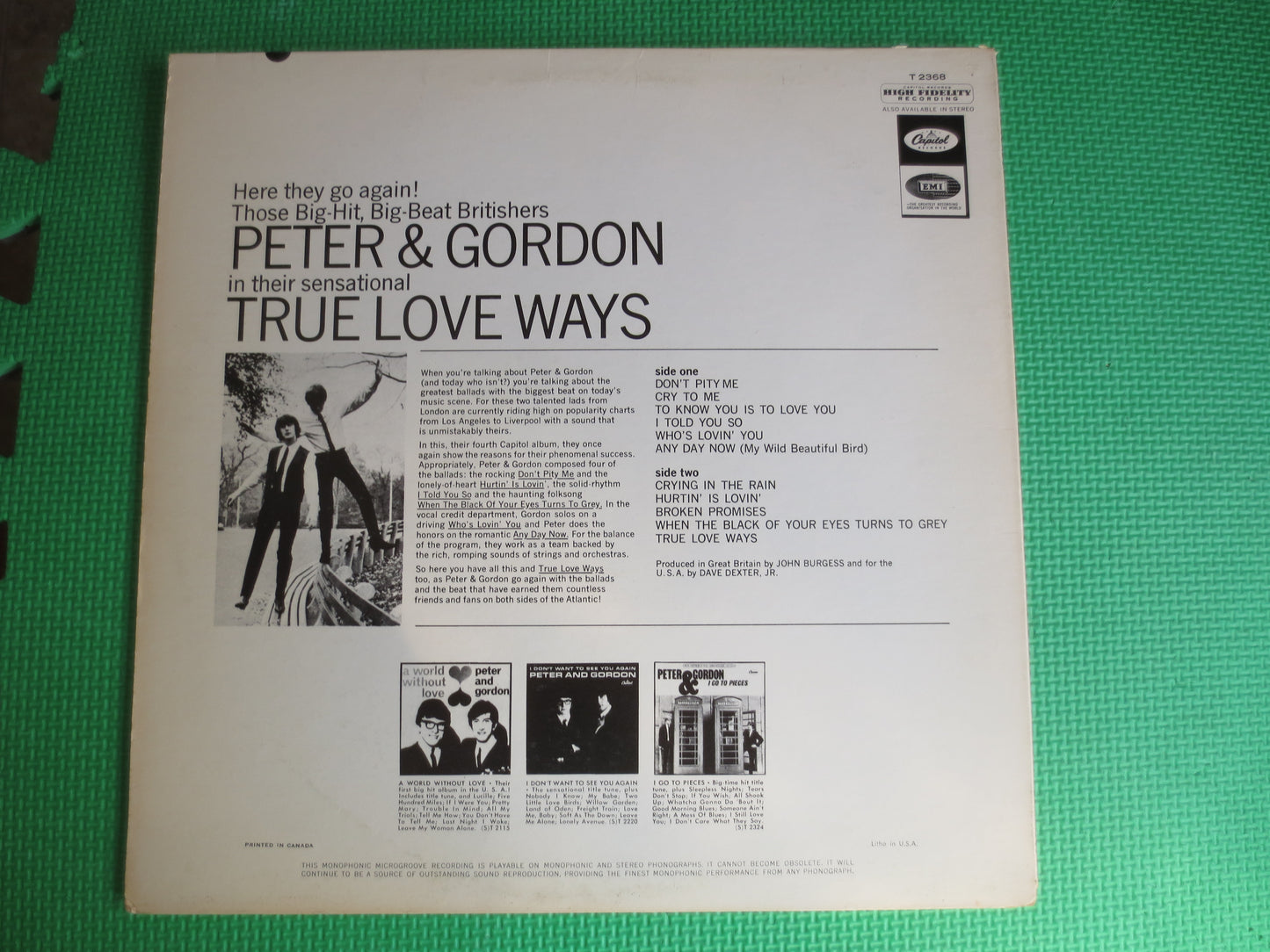 PETER and GORDON, True LOVE Ways, Peter and Gordon Lp, Pop Records, Pop Rock Records, Pop Rock Album, 60s Music Record, Lps, 1965 Records