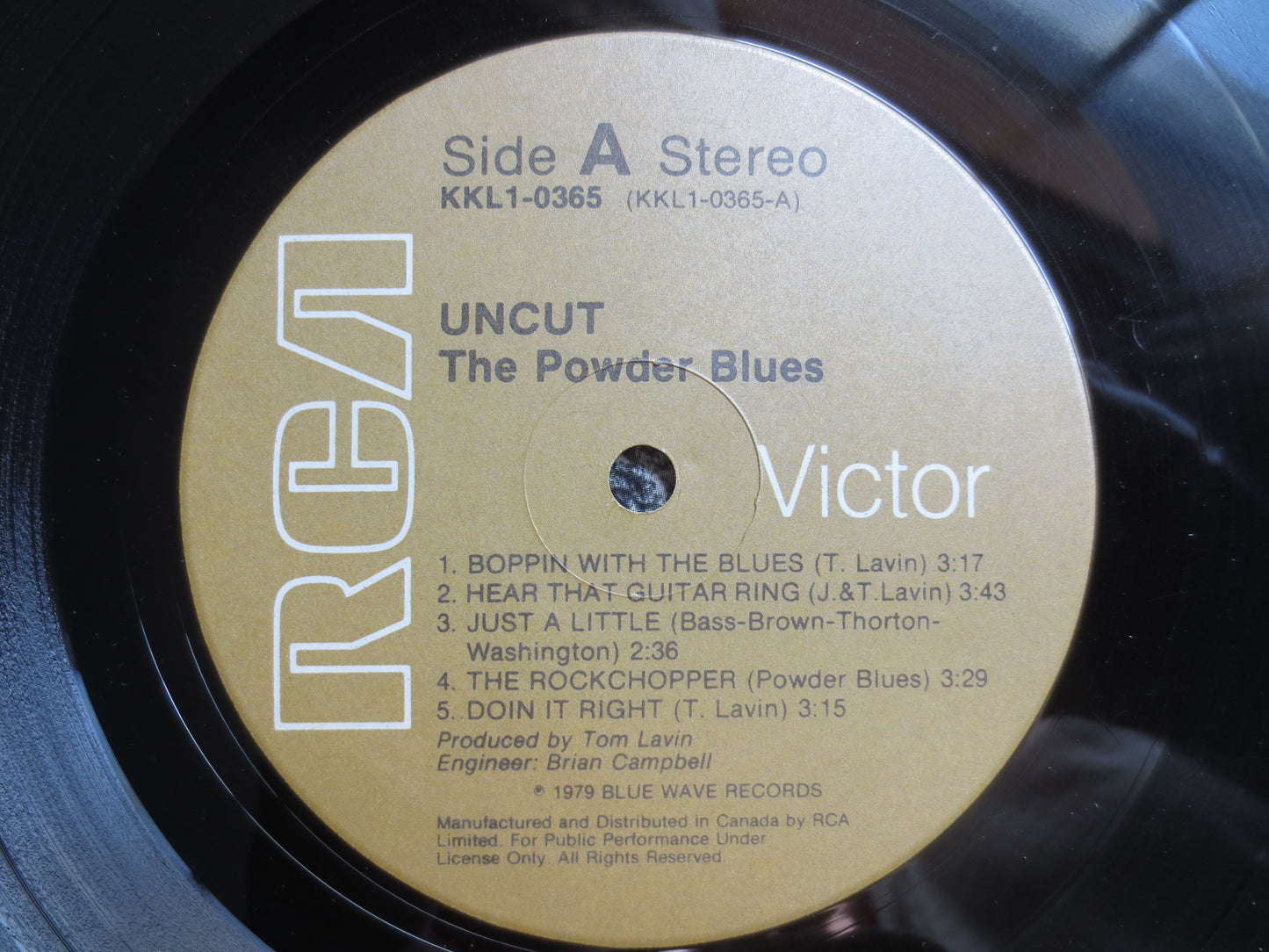 Powder Blues Album, Powder Blues Lp, Blues Record, Blues Album, Blues Lp, 1979 Records