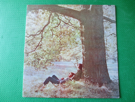 JOHN LENNON, Plastic ONO Band, The Beatles, John Lennon Album, John Lennon Vinyl, John Lennon Lp, Vinyl, lps, 1980 Records