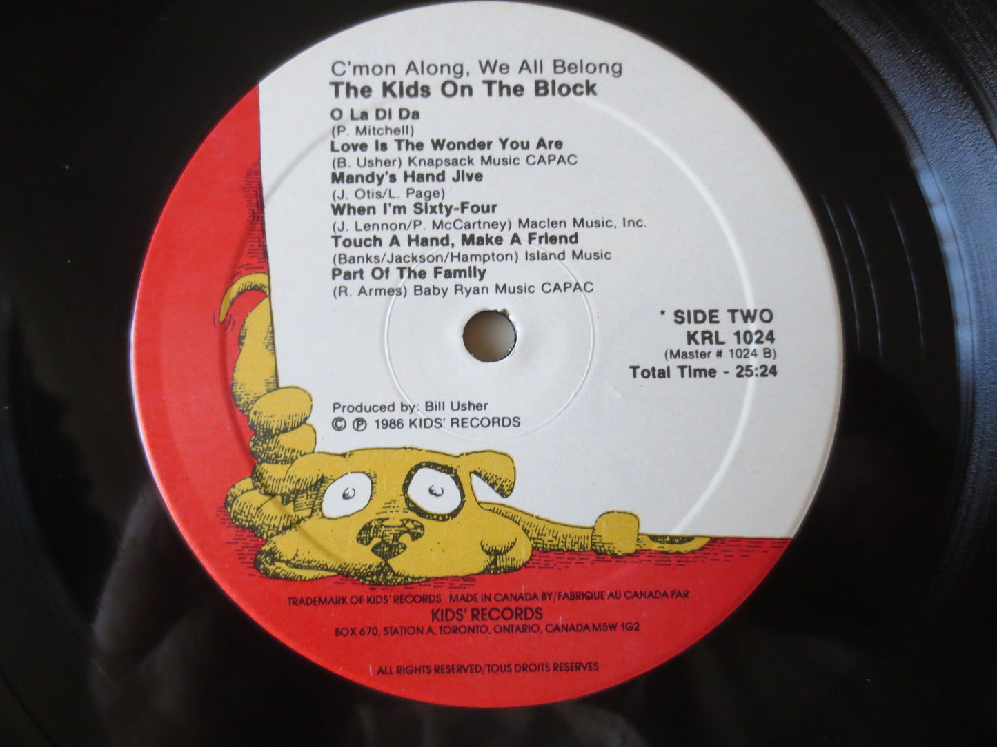 The KIDS on the BLOCK, Childrens Record, Kids Record, Childrens Album, Kids Album, Vinyl Lps, Lps, KidsLps, 1986 Records