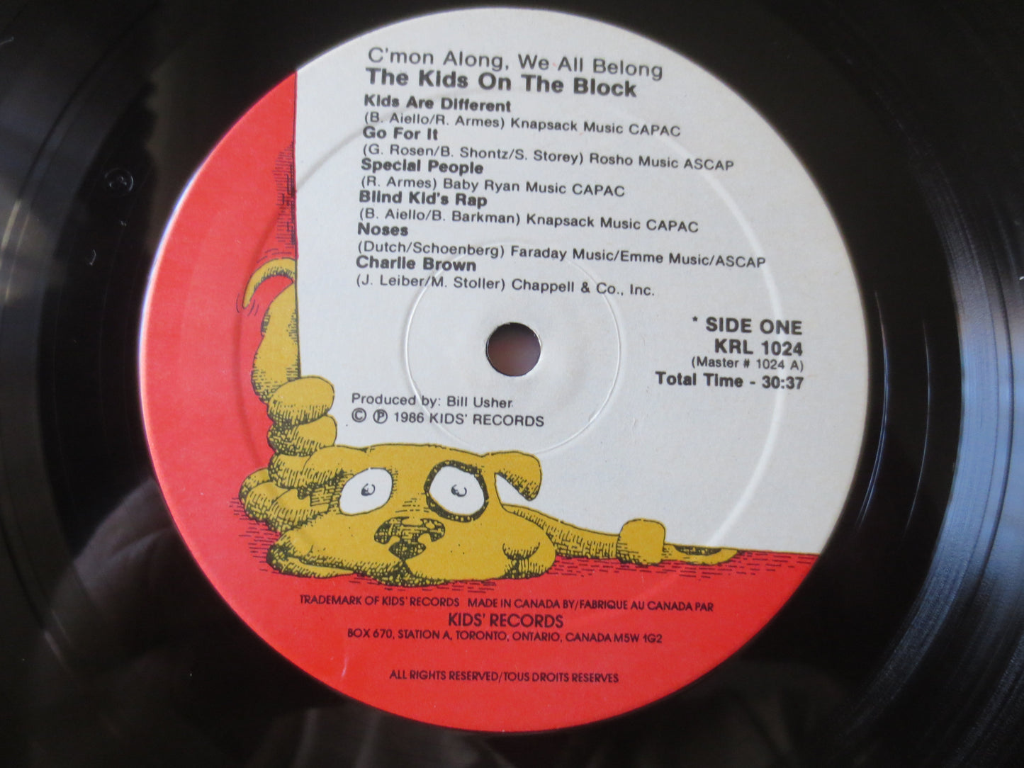 The KIDS on the BLOCK, Childrens Record, Kids Record, Childrens Album, Kids Album, Vinyl Lps, Lps, KidsLps, 1986 Records