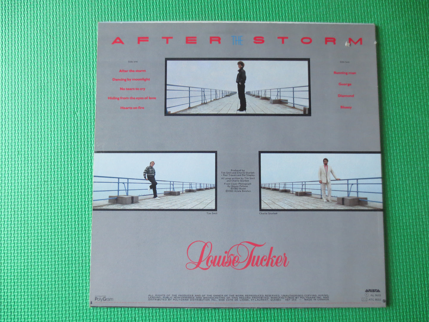 LOUISE TUCKER, After the Storm, Louise Tucker Album, Synth Pop, Louise Tucker Vinyl, Louise Tucker Lp, lps, 1983 Records