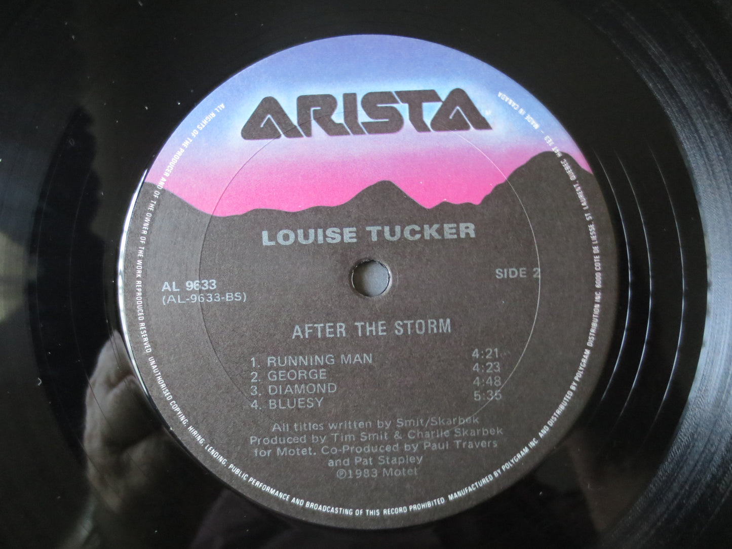 LOUISE TUCKER, After the Storm, Louise Tucker Album, Synth Pop, Louise Tucker Vinyl, Louise Tucker Lp, lps, 1983 Records