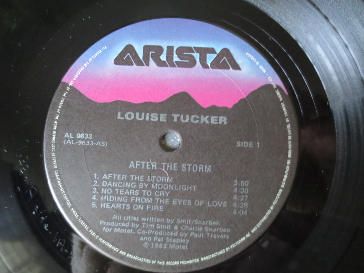 LOUISE TUCKER, After the Storm, Louise Tucker Album, Synth Pop, Louise Tucker Vinyl, Louise Tucker Lp, lps, 1983 Records