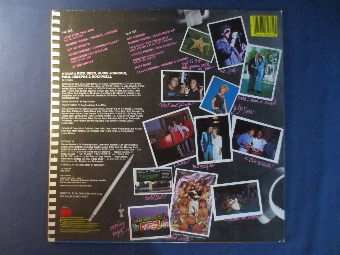 RICK DEES, Put It Where the Sun Don't Shine, Rick Dees Vinyl, Rick Dees Album, Rick Dees Lp, Pop Record,1984 Records