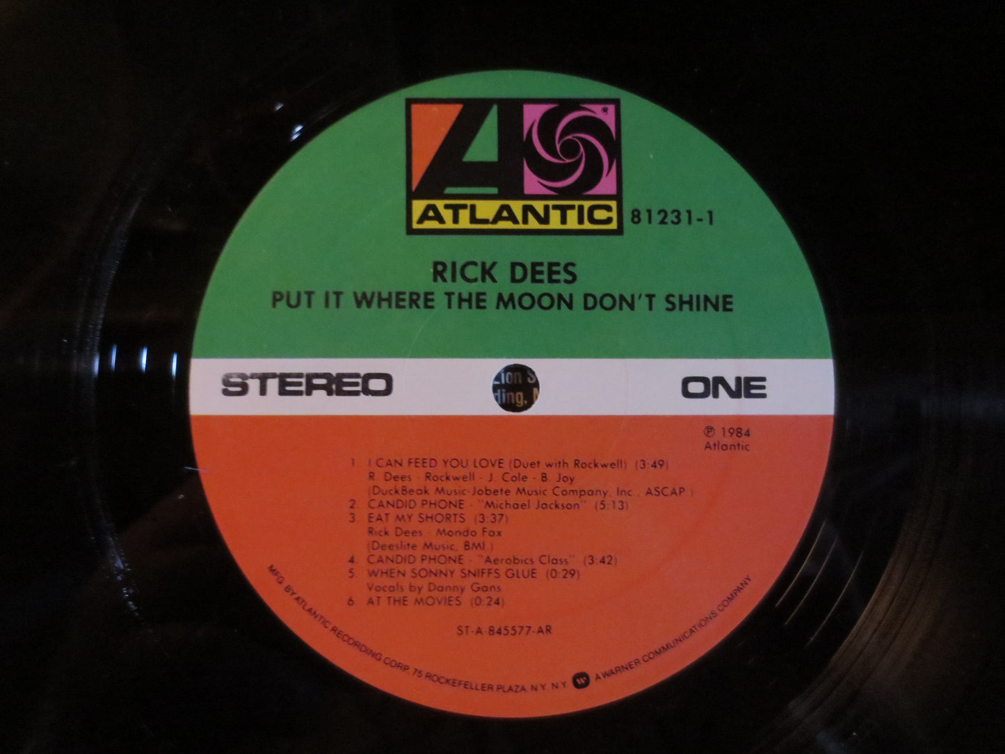 RICK DEES, Put It Where the Sun Don't Shine, Rick Dees Vinyl, Rick Dees Album, Rick Dees Lp, Pop Record,1984 Records