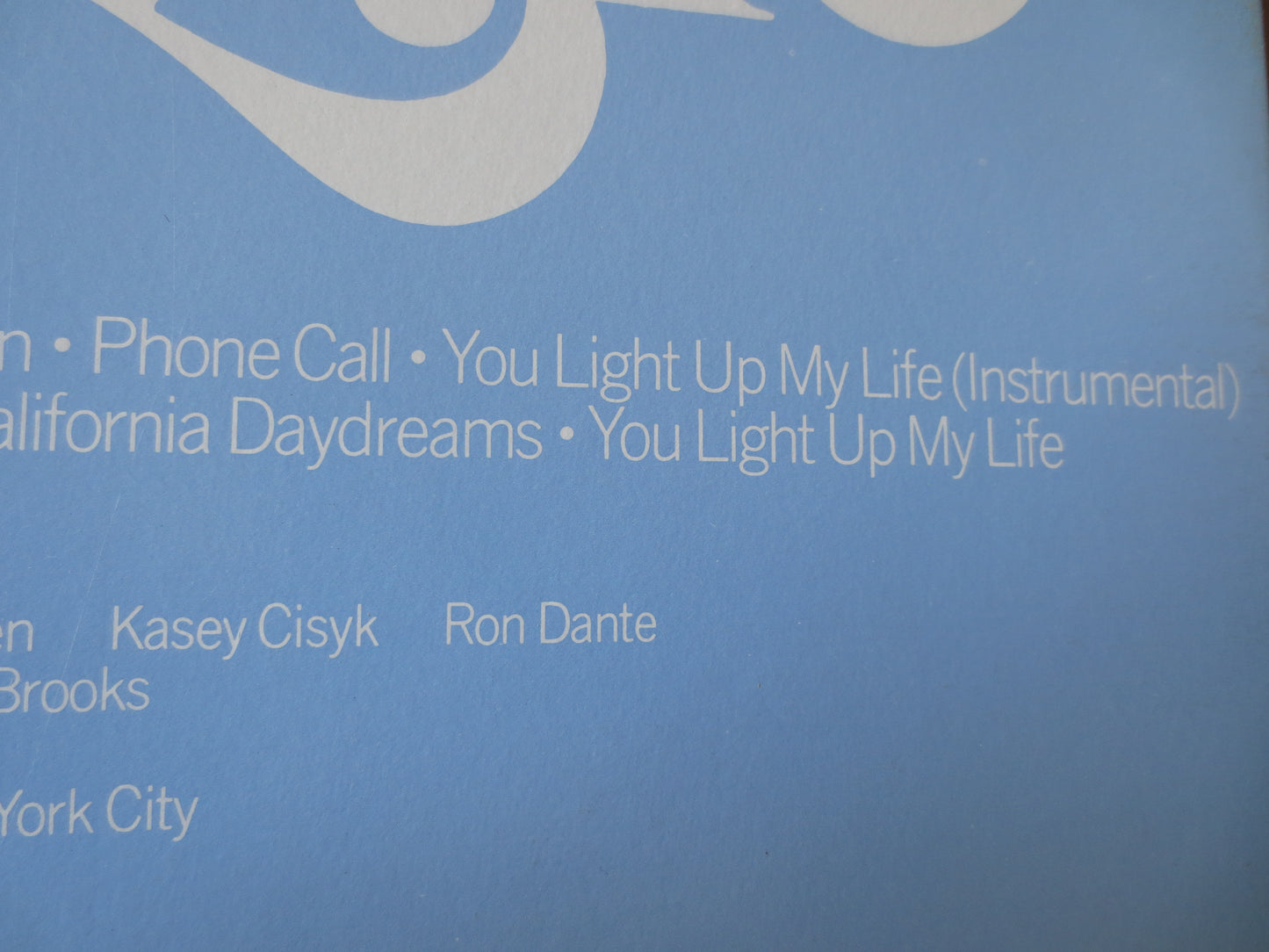 DEBBIE BOONE, You Light Up  My Life, Movie Soundtrack, Debby Boone lps, Debby Boone Album, Vinyl Record, Vinyl Albums, Lps, 1977 Records