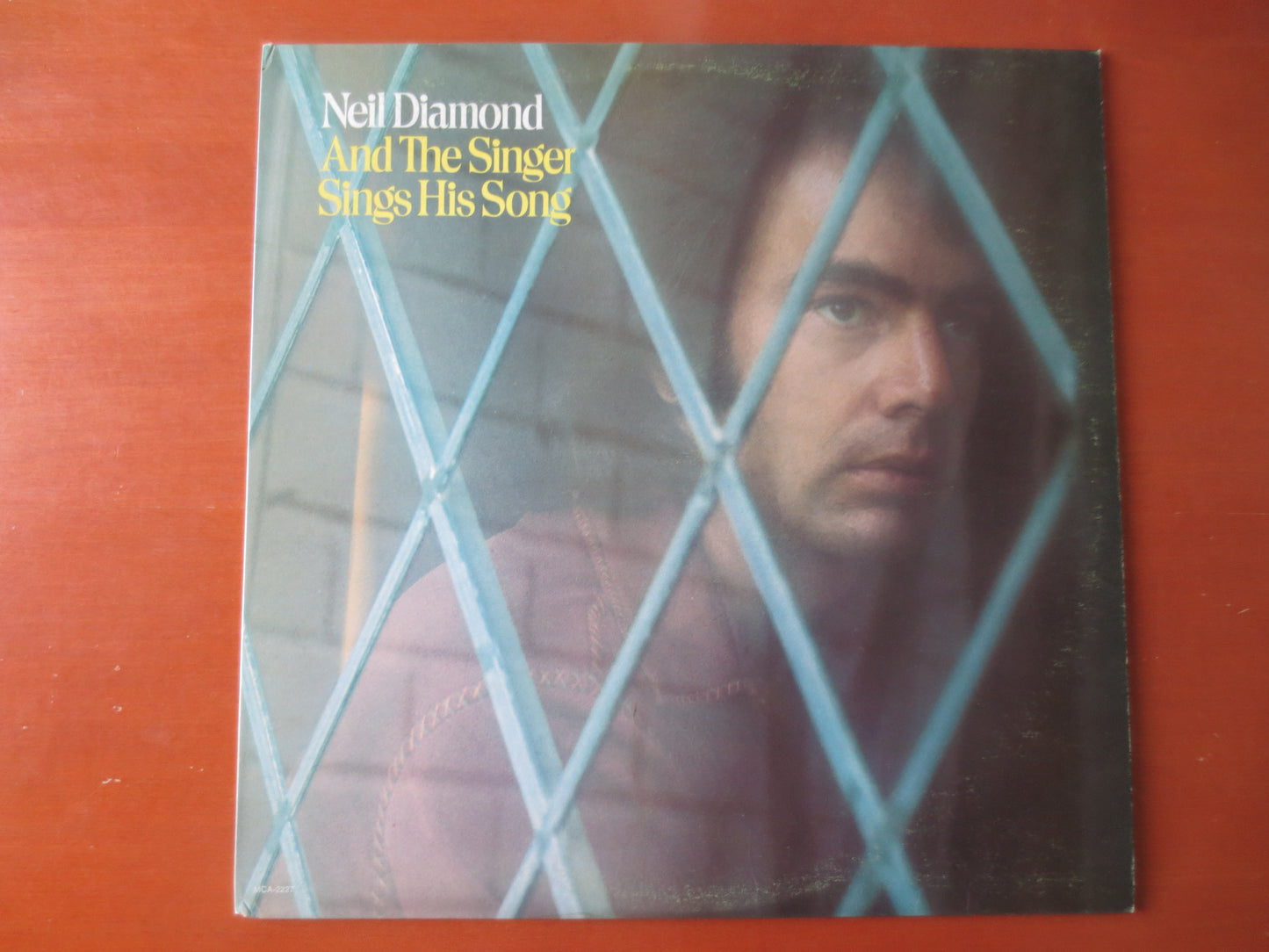 NEIL DIAMOND, And The SINGER Sings, Pop Record, Neil Diamond Record, Neil Diamond lps, lps, Pop Vinyl, Vinyl, 1976 Records