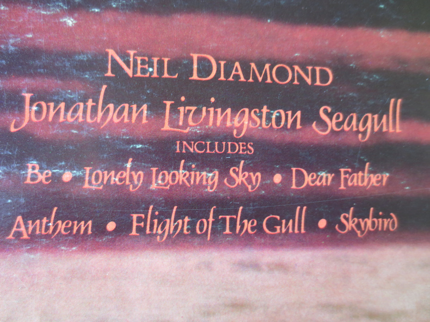 NEIL DIAMOND, Jonathan Livingston Seagull, Neil Diamond Record, Neil Diamond lps, lps, Pop Vinyl, Vinyl Album, 1973 Records