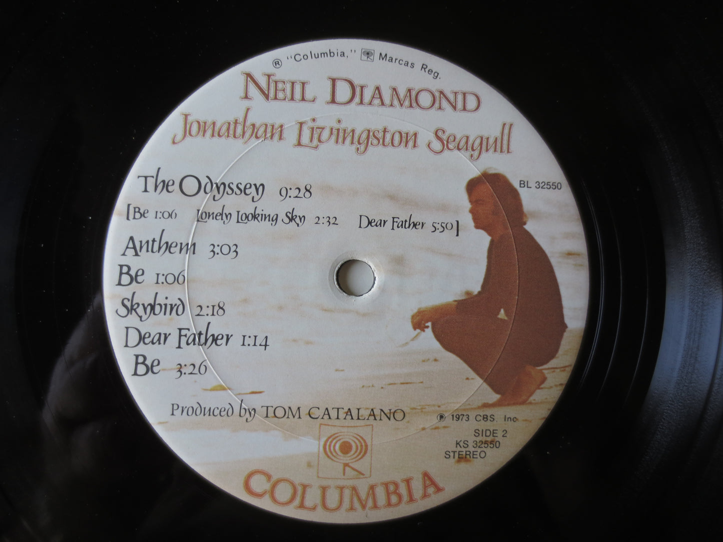 NEIL DIAMOND, Jonathan Livingston Seagull, Neil Diamond Record, Neil Diamond lps, lps, Pop Vinyl, Vinyl Album, 1973 Records