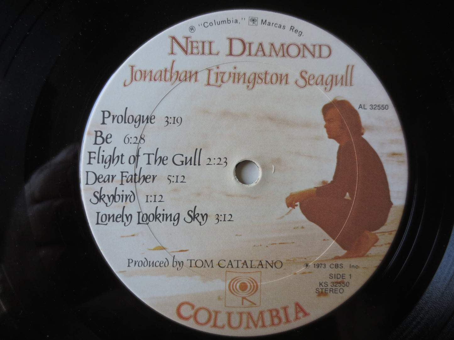 NEIL DIAMOND, Jonathan Livingston Seagull, Neil Diamond Record, Neil Diamond lps, lps, Pop Vinyl, Vinyl Album, 1973 Records