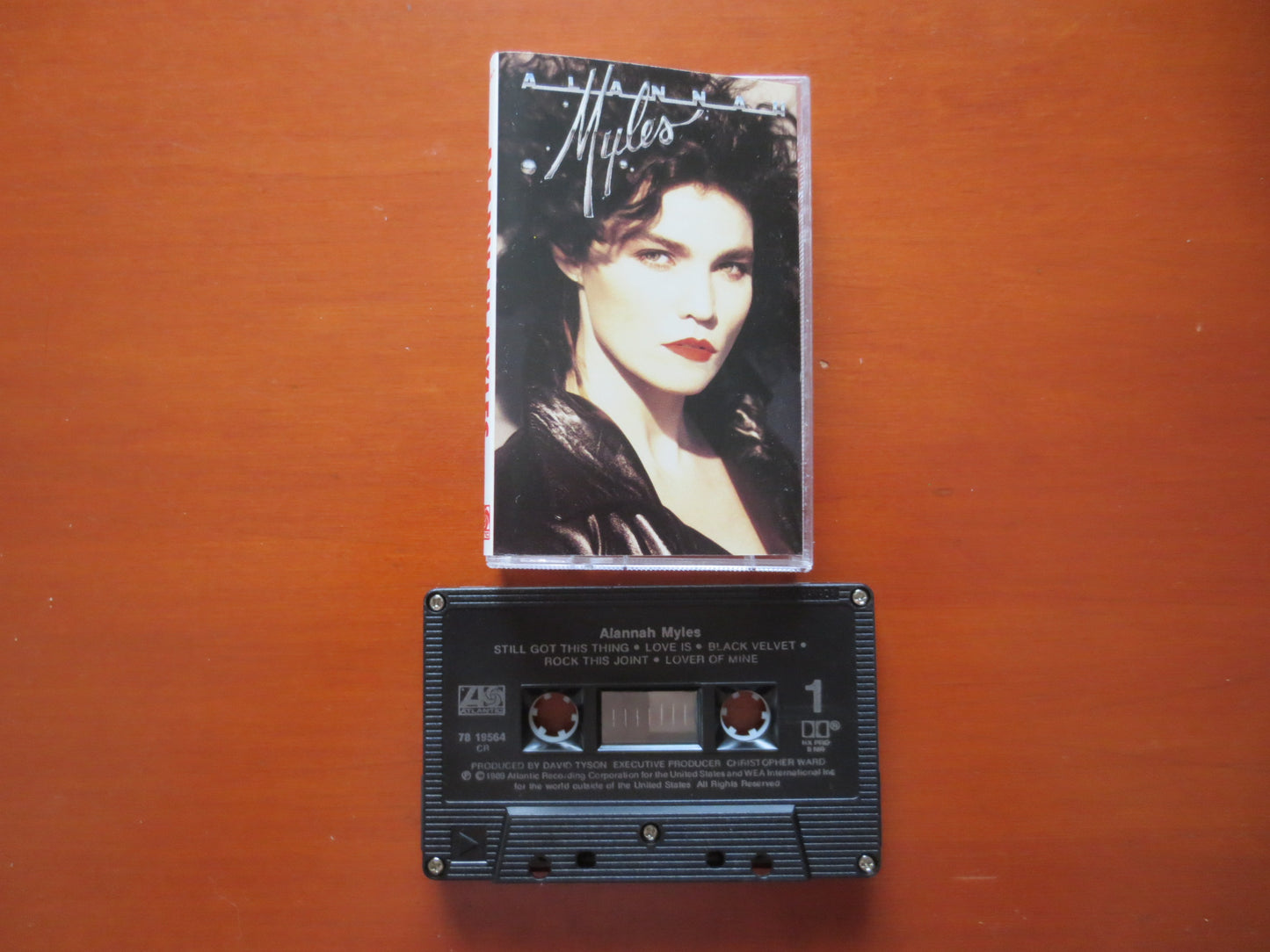 ALANNAH MYLES Tape, Alannah Myles Album, Alannah Myles Music, Tape Cassette, Rock Cassette, Vintage Cassette, 1989 Cassette