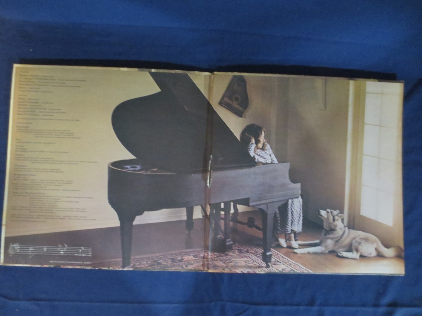 CAROLE KING, Wrap Around JOY, Carole King Record, Carole King Album, Carole King Lp, Folk Records, Folk Album, 1974 Records