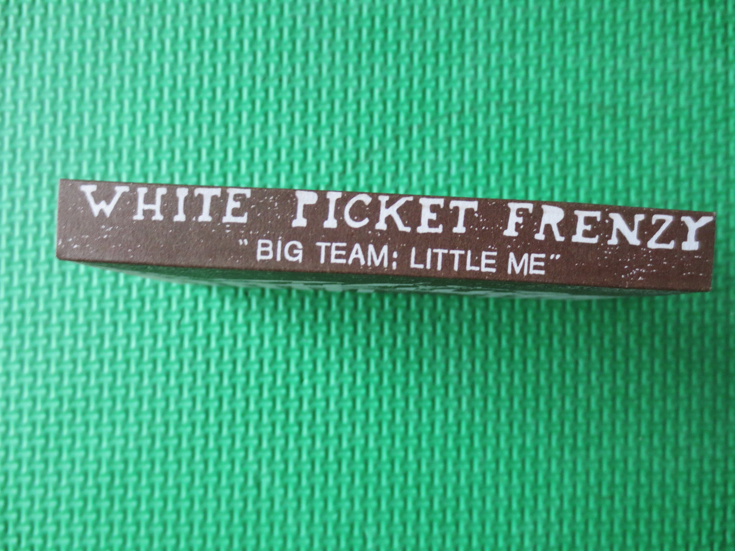 WHITE PICKET FRENZY, Big Team Little Me, Alternative Rock, Tape Cassette, Classic Rock Tapes, Rock Cassette, Cassette Music