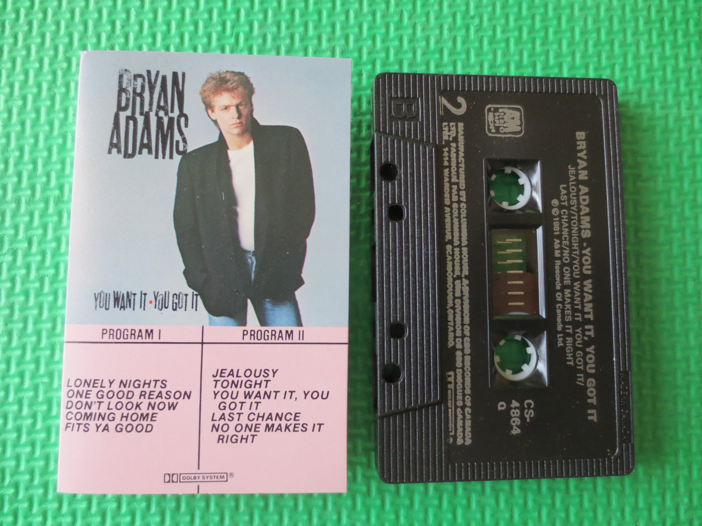 BRYAN ADAMS Tape, You WANT It, Bryan Adams Album, Bryan Adams Music, Bryan Adams, Tape Cassette, Cassette, 1981 Cassette