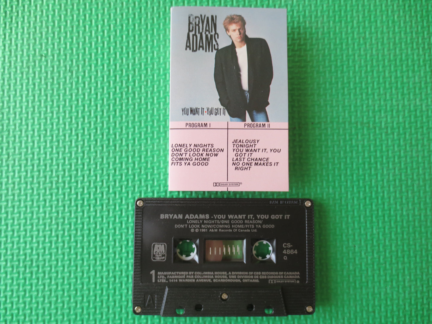 BRYAN ADAMS Tape, You WANT It, Bryan Adams Album, Bryan Adams Music, Bryan Adams, Tape Cassette, Cassette, 1981 Cassette