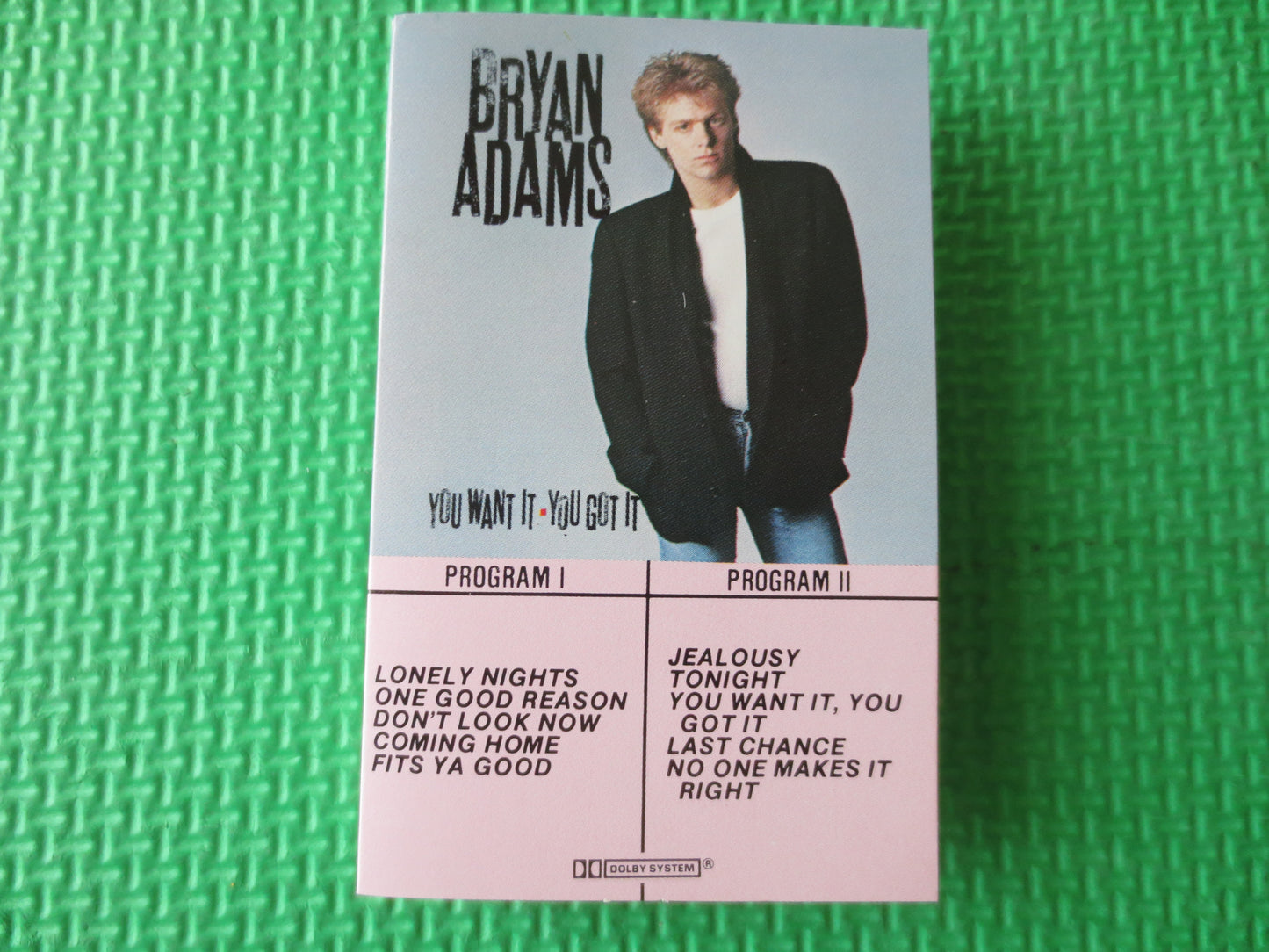 BRYAN ADAMS Tape, You WANT It, Bryan Adams Album, Bryan Adams Music, Bryan Adams, Tape Cassette, Cassette, 1981 Cassette