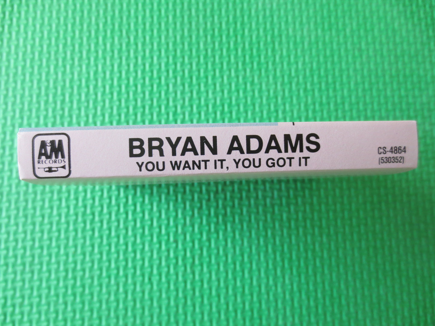 BRYAN ADAMS Tape, You WANT It, Bryan Adams Album, Bryan Adams Music, Bryan Adams, Tape Cassette, Cassette, 1981 Cassette