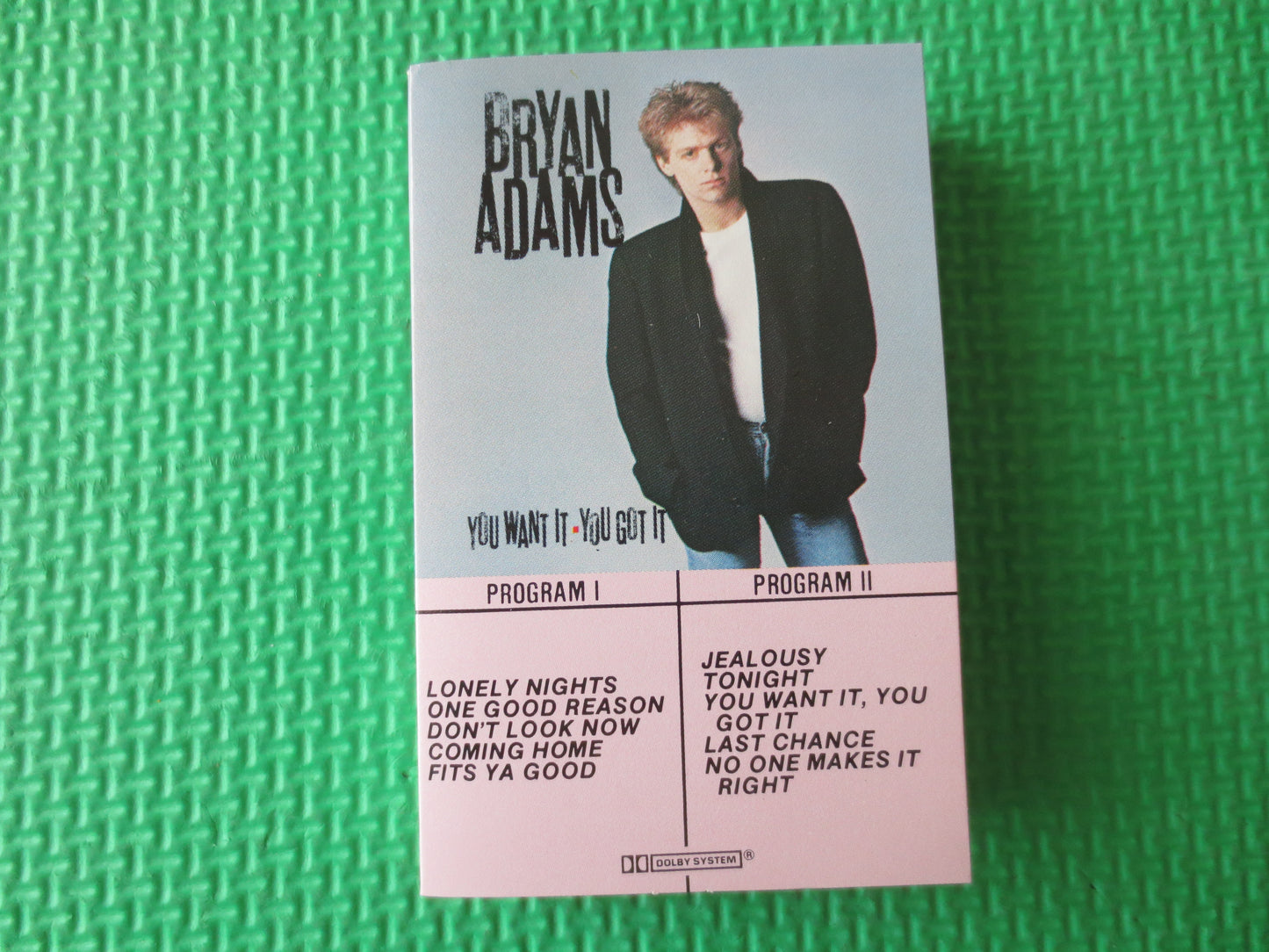 BRYAN ADAMS Tape, You WANT It, Bryan Adams Album, Bryan Adams Music, Bryan Adams, Tape Cassette, Cassette, 1981 Cassette