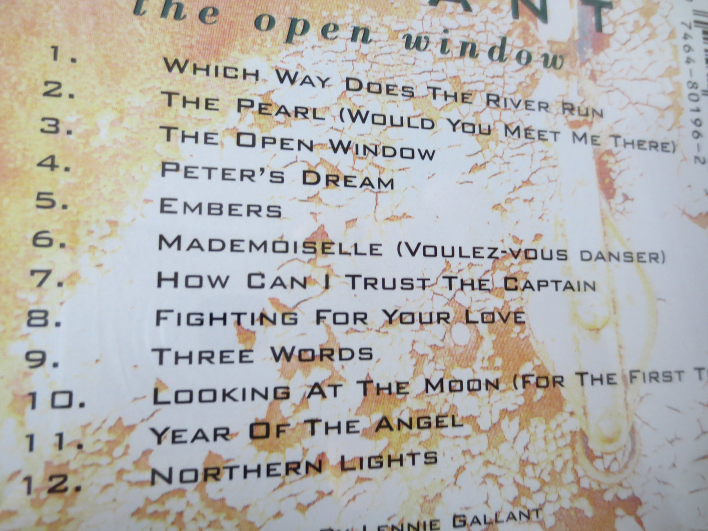 LENNIE GALLANT, The OPEN Window, Lennie Gallant Cd, Lennie Gallant Music, Lennie Gallant Songs, Music Cd's, 1994 Compact Discs