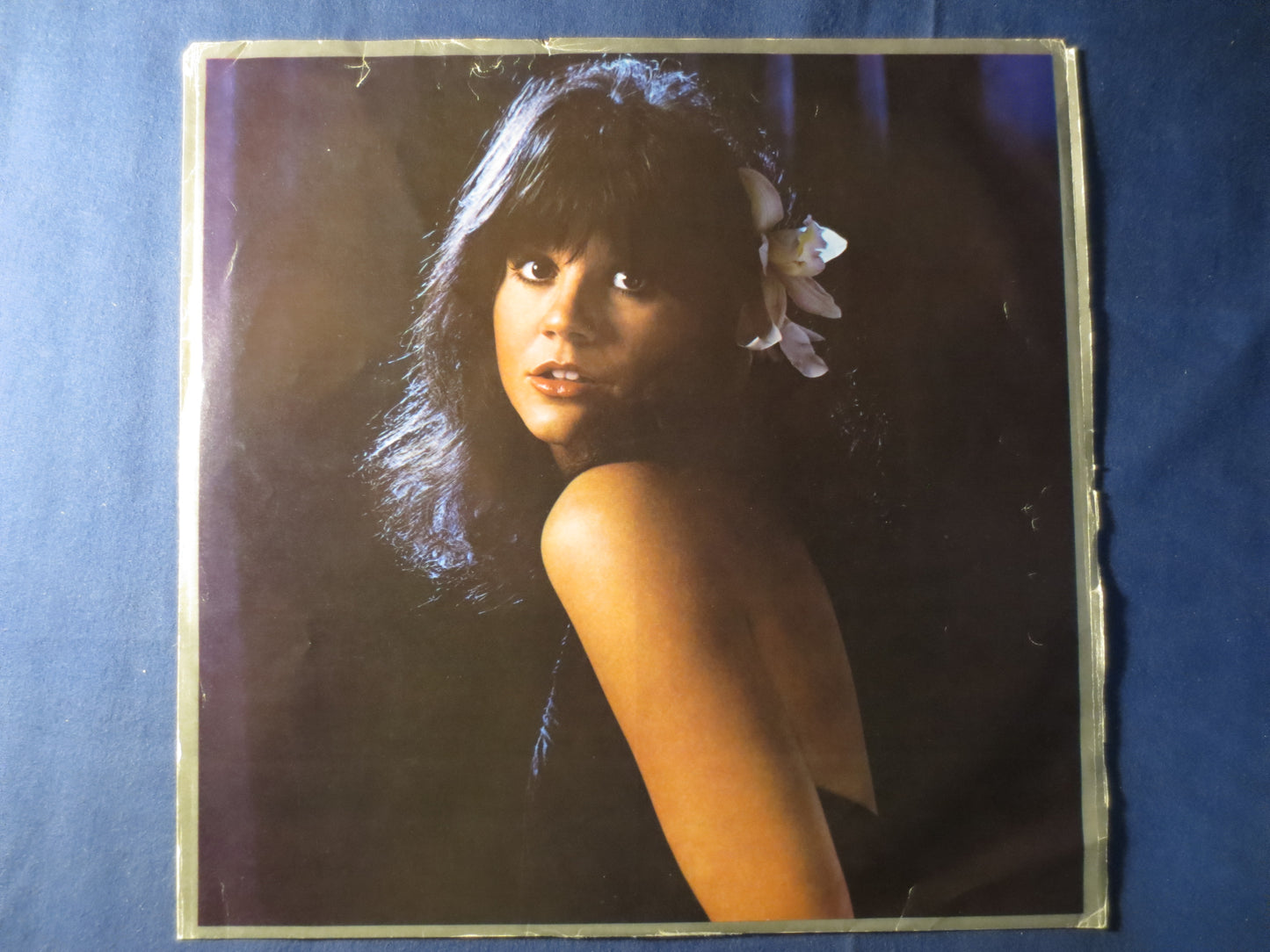 LINDA RONSTADT, Simple DREAMS, Linda Ronstadt Album, Linda Ronstadt Lp, Country Record, Vinyl Record, Lps, 1977 Records