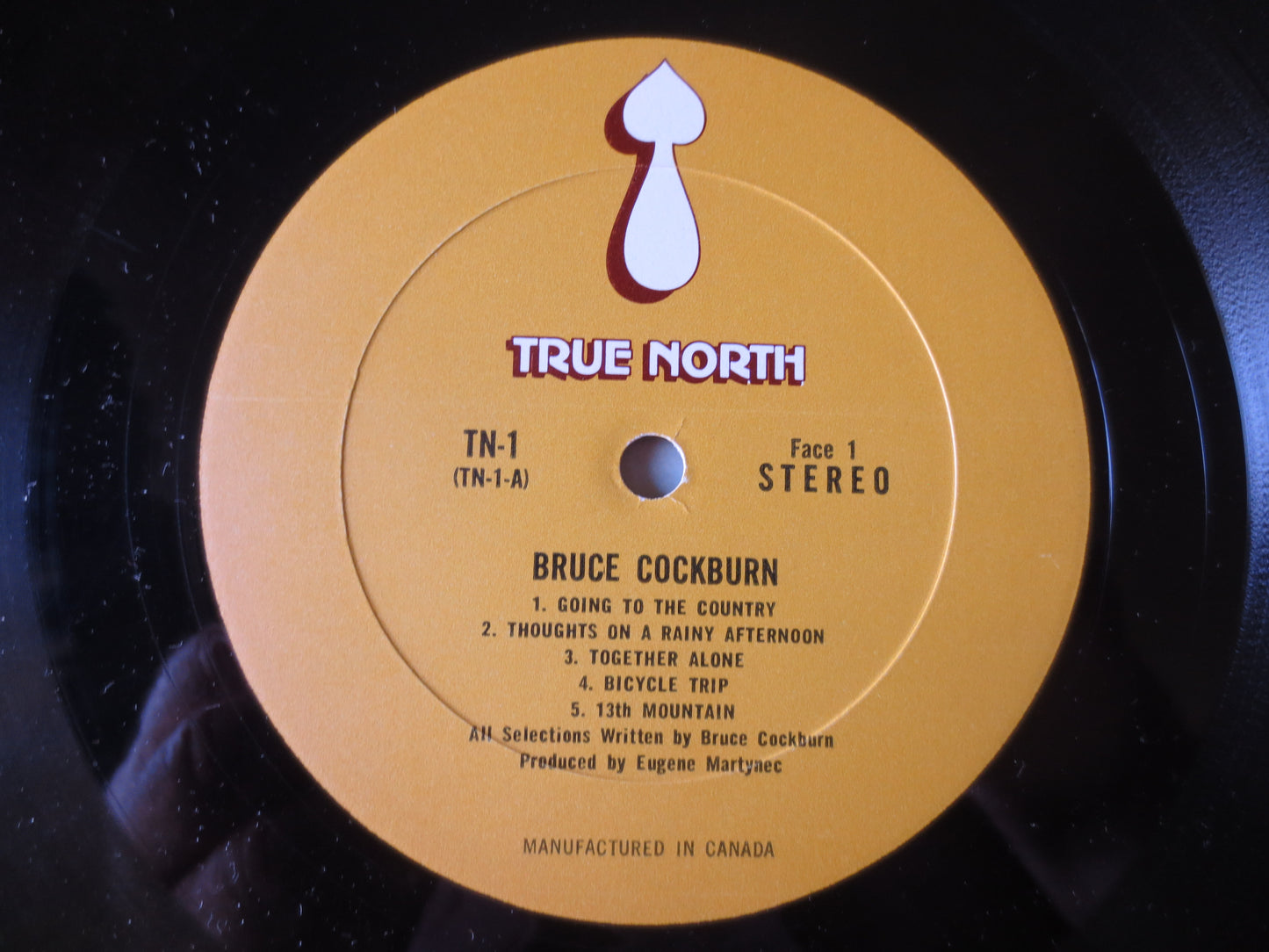 BRUCE COCKBURN, DEBUT Album, Bruce Cockburn Album, Bruce Cockburn lp, Vinyl lps, Record Vinyl, Vinyl Records, 1970 Records