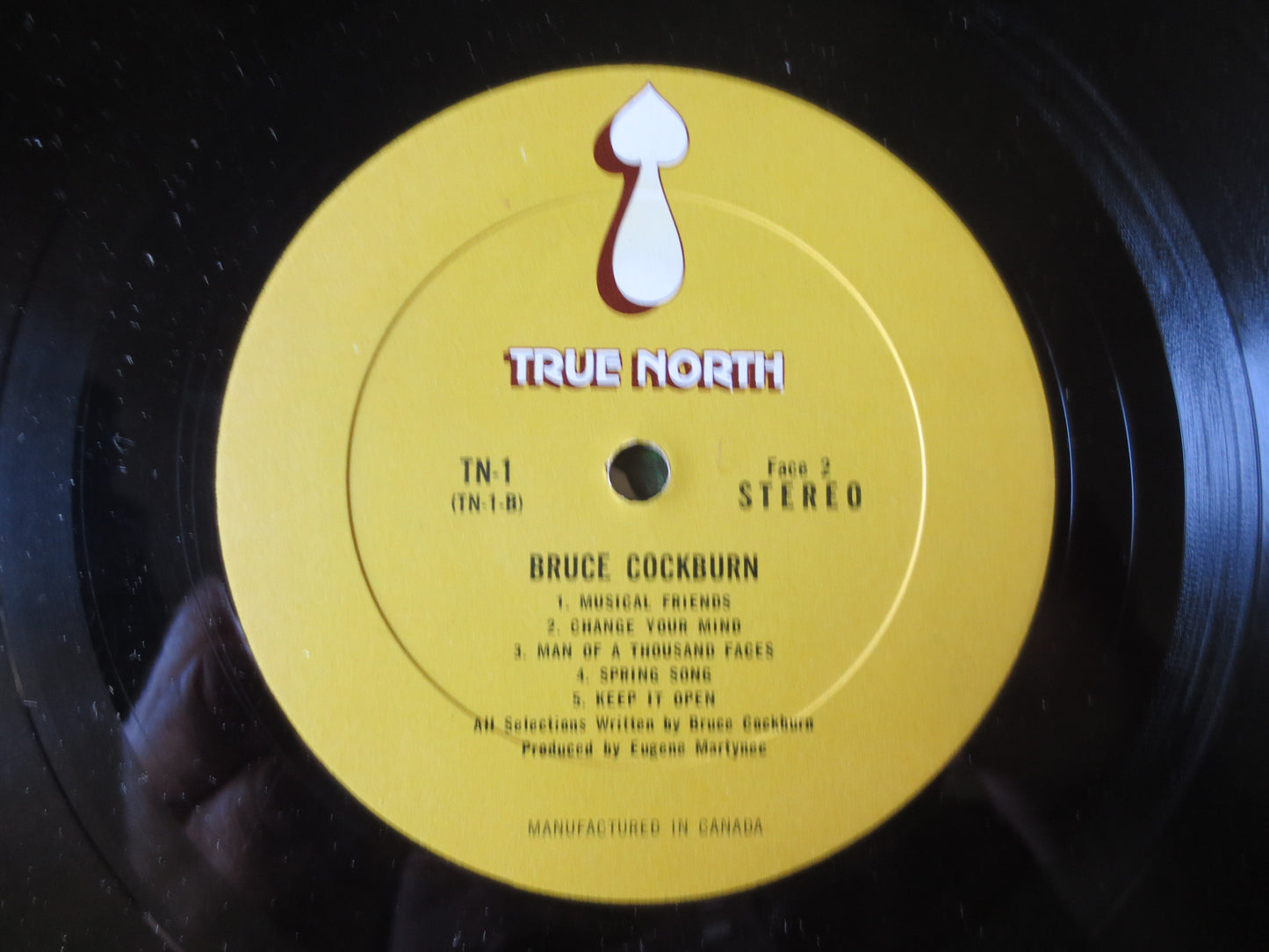 BRUCE COCKBURN, DEBUT Album, Bruce Cockburn Album, Bruce Cockburn lp, Vinyl lps, Record Vinyl, Vinyl Records, 1970 Records