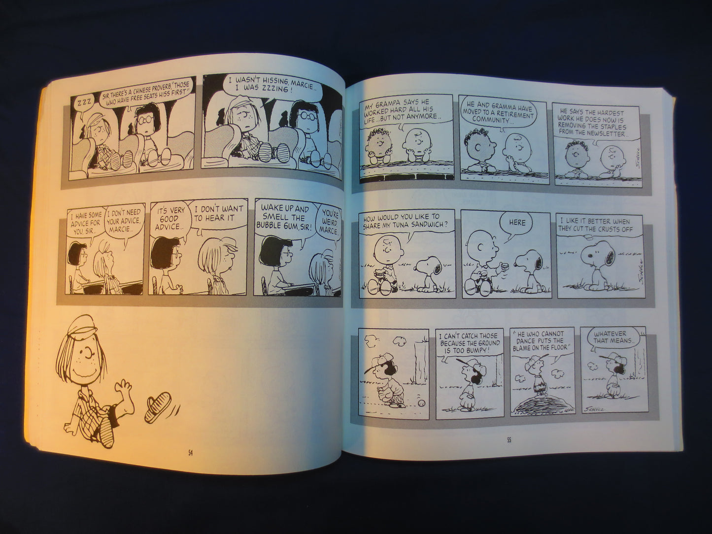 SNOOPY, Being a DOG is a Full Time Job, Charles Schulz Book, Vintage Comics, Vintage Funnys, Comic Books, 1994 Books