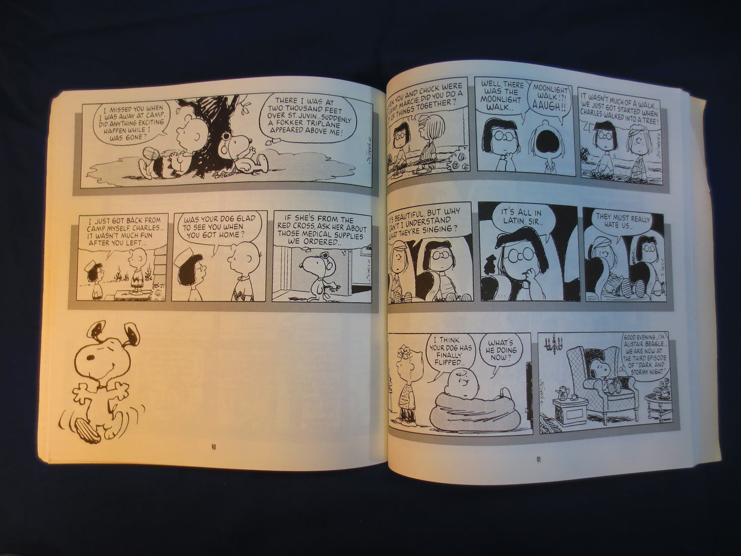 SNOOPY, Being a DOG is a Full Time Job, Charles Schulz Book, Vintage Comics, Vintage Funnys, Comic Books, 1994 Books