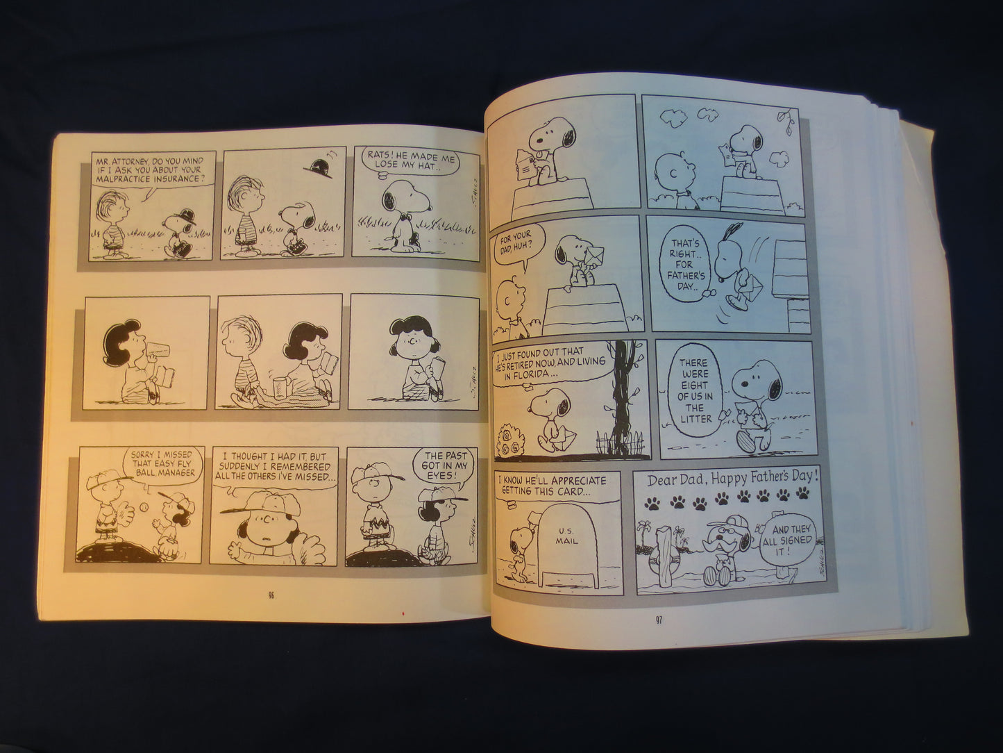 SNOOPY, Being a DOG is a Full Time Job, Charles Schulz Book, Vintage Comics, Vintage Funnys, Comic Books, 1994 Books