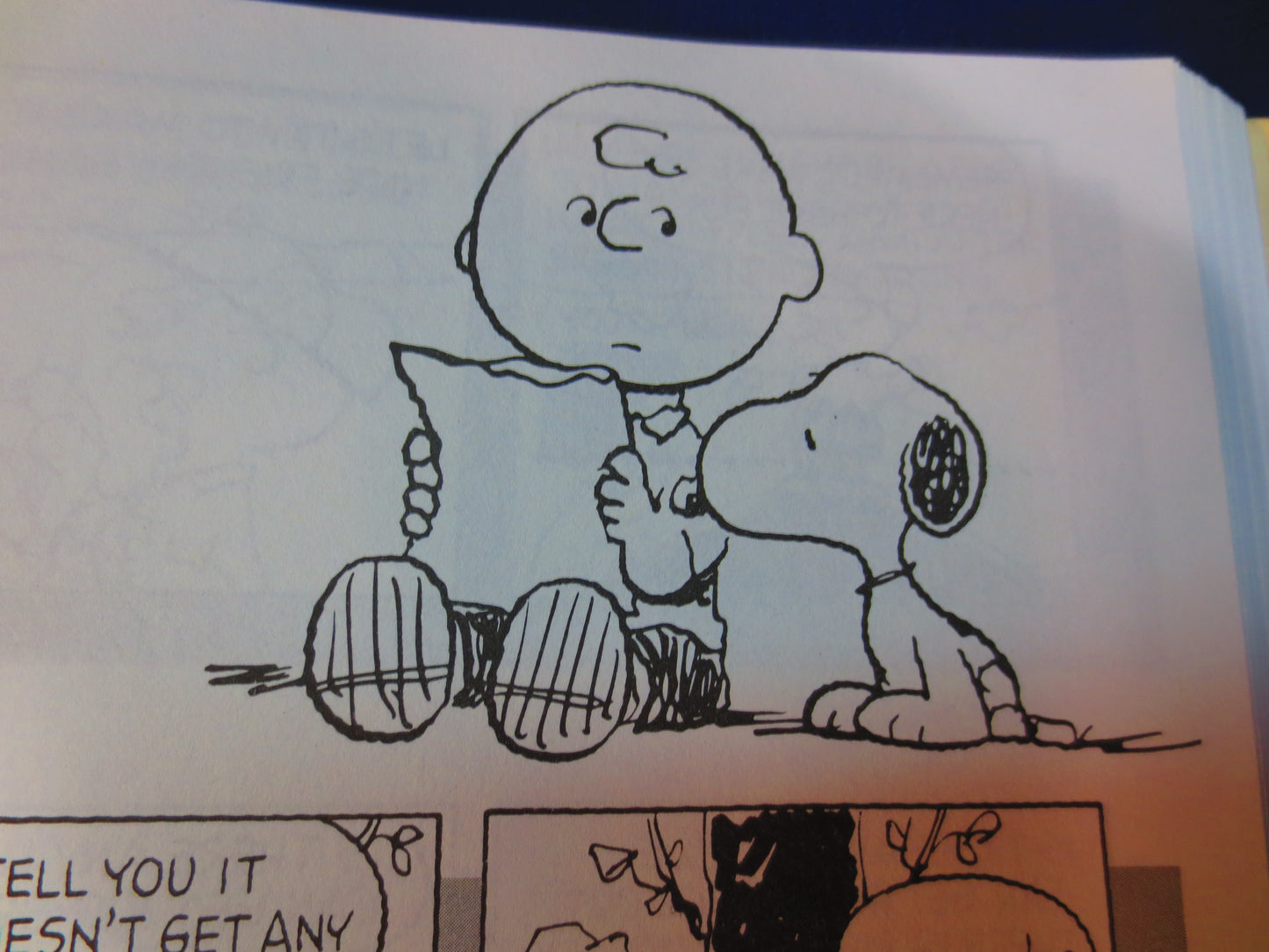 SNOOPY, Being a DOG is a Full Time Job, Charles Schulz Book, Vintage Comics, Vintage Funnys, Comic Books, 1994 Books