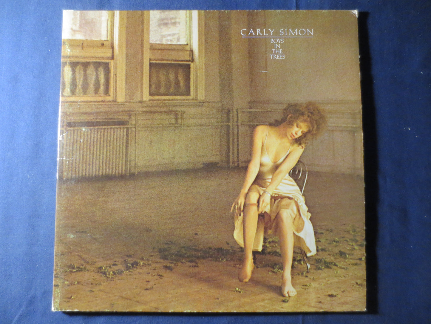 CARLY SIMON, BOYS in the Trees, Carly Simon Record, Carly Simon Album, Carly SimonLp, Pop Record, Vinyl Album, 1978 Records