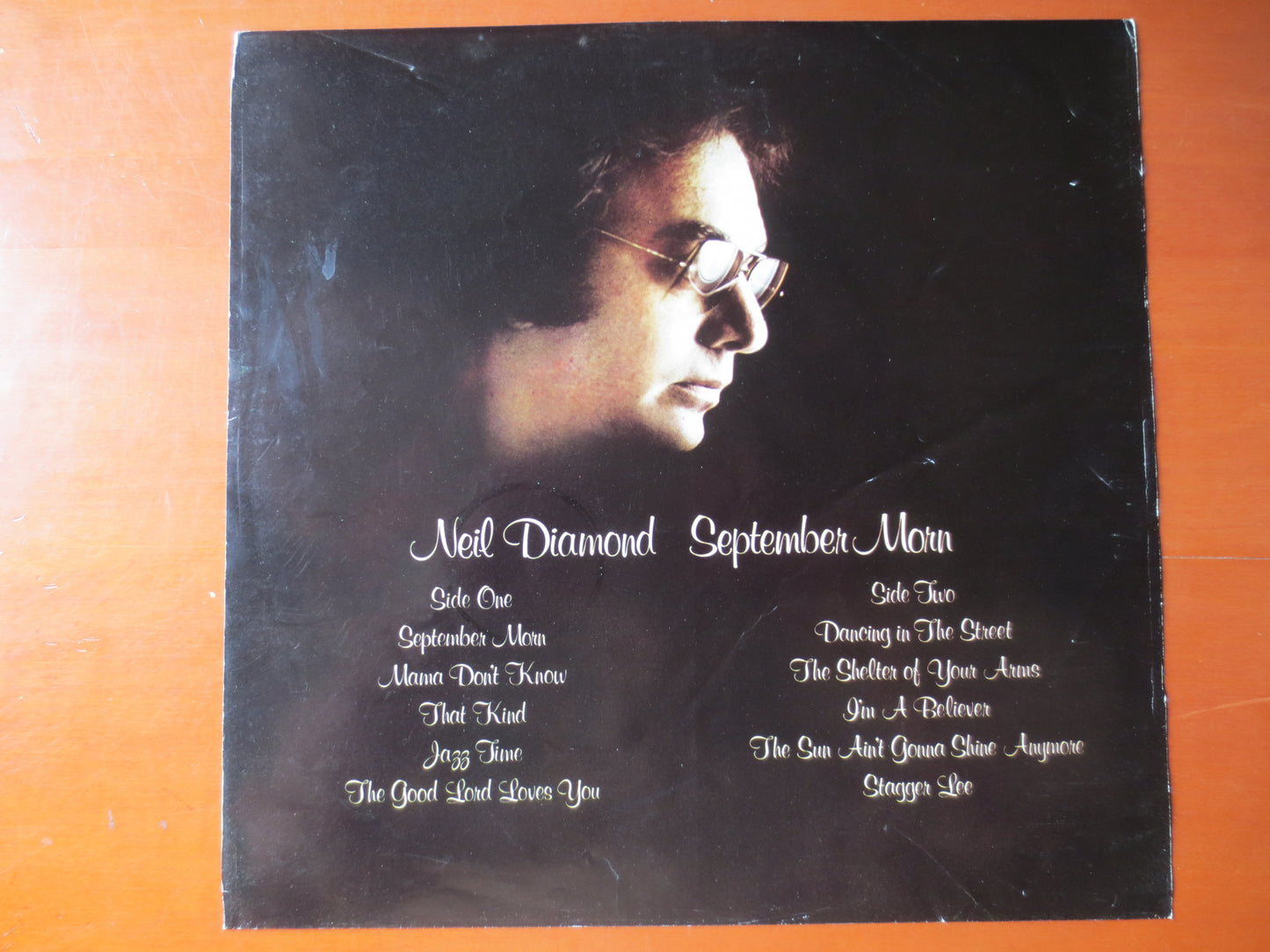 NEIL DIAMOND, SEPTEMBER Morn, Neil Diamond Record, Neil Diamond lps, lps, Pop Vinyl, Pop Albums, Vinyl Album, 1979 Records