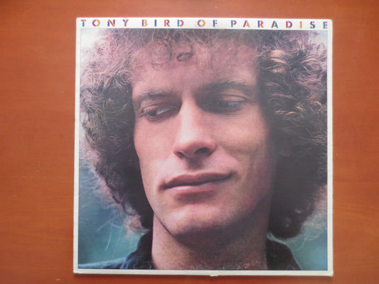 TONY BIRD, Bird of PARADISE, Vintage Vinyl, Record Vinyl, Records, Folk Lp, Folk Records, Vinyl Record, Vinyl, 1981 Records