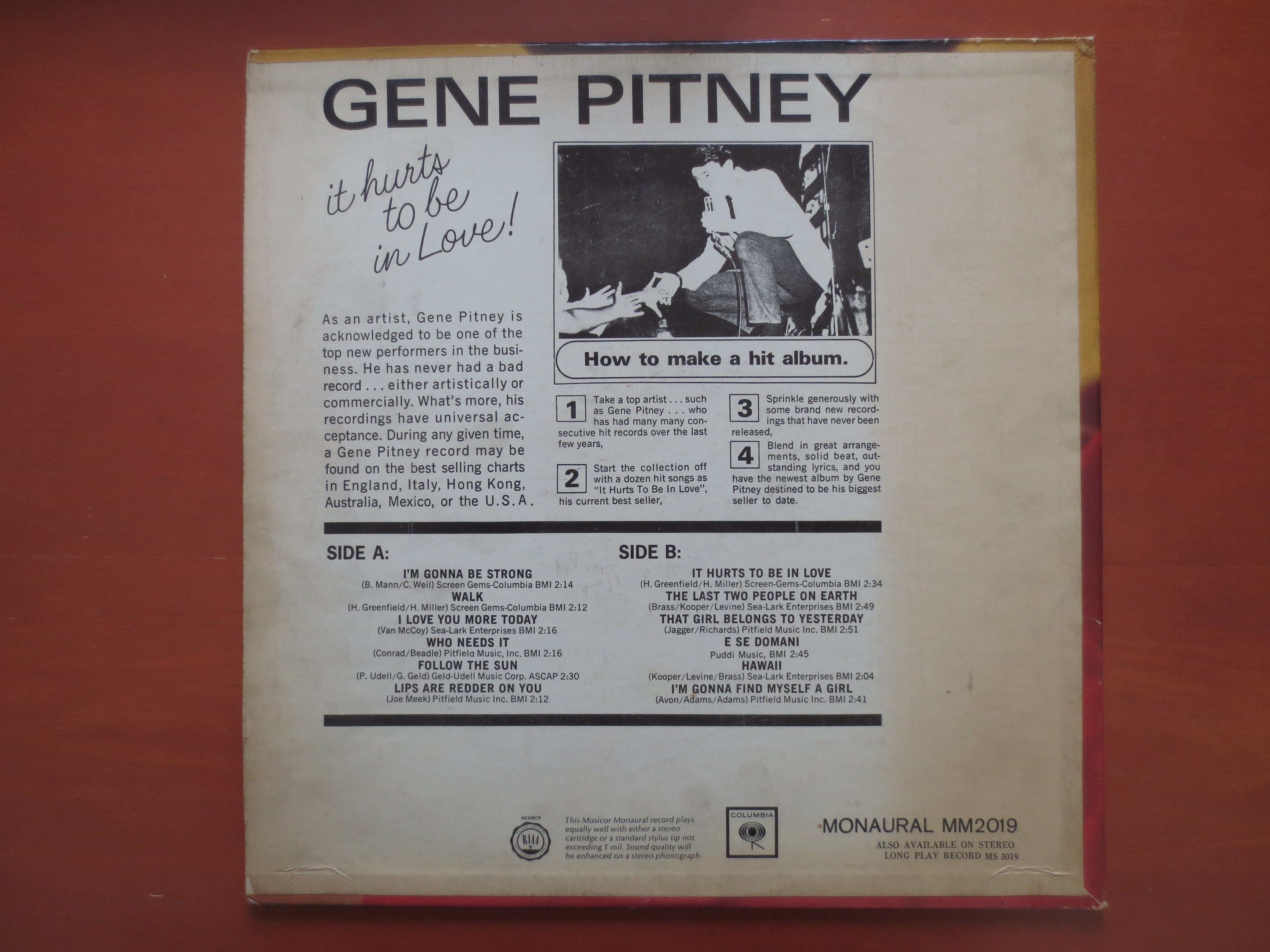 GENE PITNEY, It HURTS, Gene Pitney Record, Gene Pitney Album, Gene Pit –  Vintage Record Store