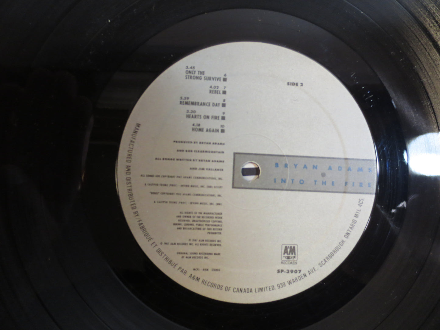 BRYAN ADAMS, Into the FIRE, Bryan Adams Album, Bryan Adams Vinyl, Bryan Adams Lp, Pop Record, Pop Lp, 1987 Records