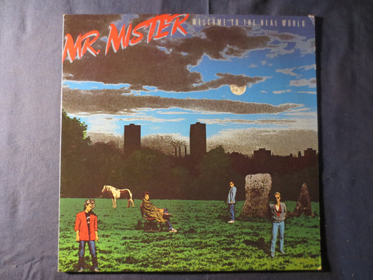 Mr MISTER, WELCOME to the Real WORLD, Mr Mister Album, Mr Mister Vinyl, Mr Mister Lp, Vintage Vinyl, 1985 Records