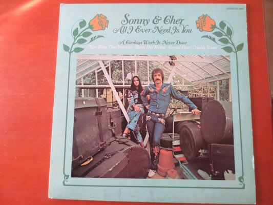 SONNY and CHER, ALL I Ever Need, Pop Records, Vintage Vinyl, Record Vinyl, Records, Vinyl Records, Cher Album, 1972 Records