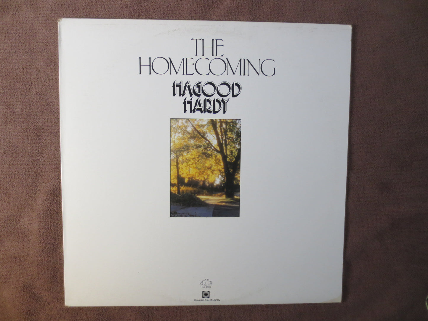 HAGOOD HARDY, HOMECOMING Album, Christmas Songs, Christmas Record, Christmas Vinyl, Christmas Lp, Vinyl, 1975 Records