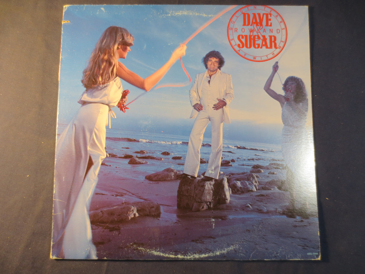 DAVE and SUGAR, Dave ROWLANDS, Golden Tears Stay With Me, Country Records, Vintage Vinyl, Vinyl Records, Lps, 1979 Records